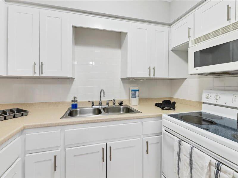 Designed And Cozy 1Br With Parking Near Stores Daire Tampa Dış mekan fotoğraf